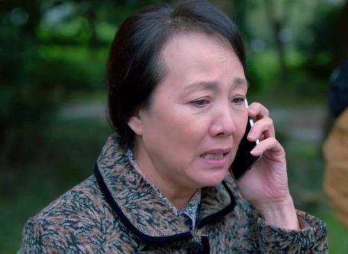 国产母子在线,打造亲子互动新平台，共筑温馨家庭时光